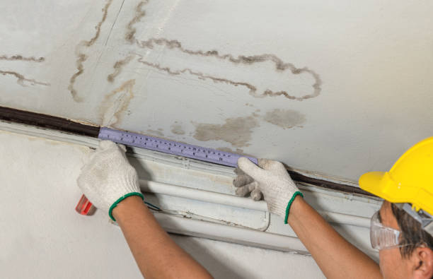 Reliable Mold Remediation contractor in Jenks, OK by Local Water Damage Repair